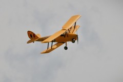 Tiger-Moth_1