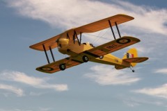 Tiger-Moth_3