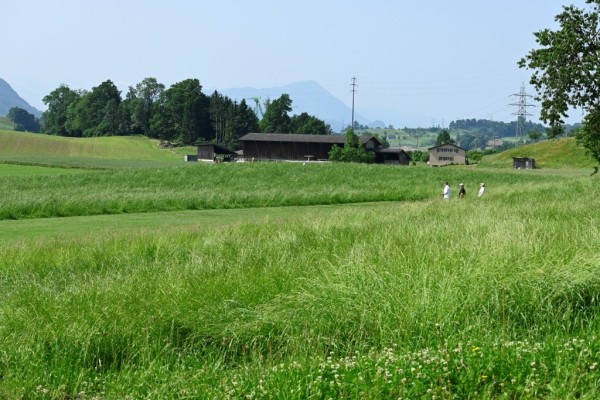 20250609_Pfigstmontag_03