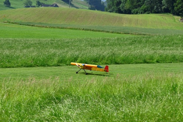 20250609_Pfigstmontag_07