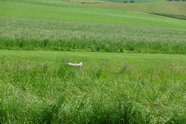 20250609_Pfigstmontag_20