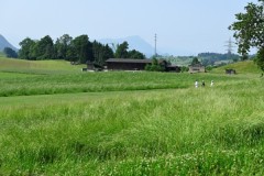 20250609_Pfigstmontag_03