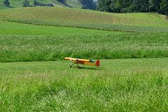 20250609_Pfigstmontag_07