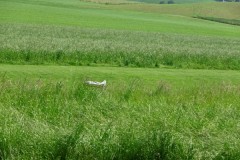 20250609_Pfigstmontag_20