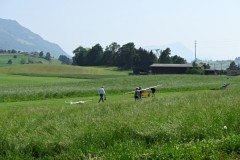 20250609_Pfigstmontag_22