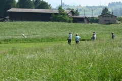 20250609_Pfigstmontag_34