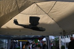 20250830_August-Maeaert_Looser_07