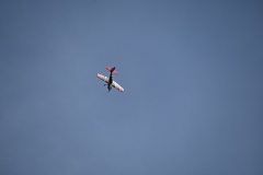 20250907_FMVSZ-zu-Gast_12