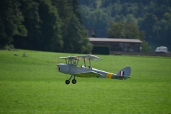 20250907_FMVSZ-zu-Gast_19