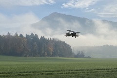 20251106_Herbstfliegen_1