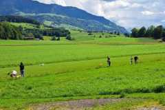 WhatsApp-Bild-2024-05-25-um-22.04.59_5599e677